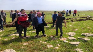 Şanlıurfa’da çeltik tohumu toprakla buluştu