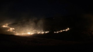 Eyyübiye’de korkutan orman yangını