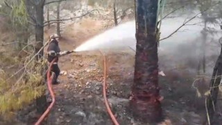 Haliliye’de ormanlık alanda çıkan yangın söndürüldü