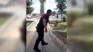 Şanlıurfa’da güvercin kurtarma operasyonu