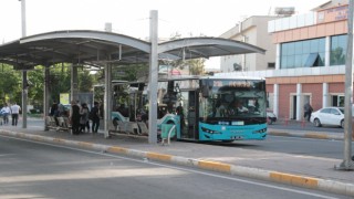 Şanlıurfaspor’a destek! Büyükşehir Belediyesi toplu taşımayı ücretsiz yaptı