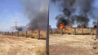 Haliliye’de kuru ot yangını: Alevler kontrol altına alındı