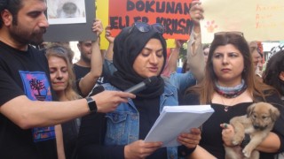 Şanlıurfa’da hayvan hakları savunucuları köpekleriyle eylem yaptı