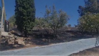 Şanlıurfa’da yangın: Fıstık ve zeytin ağaçları zarar gördü!