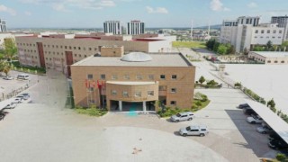 Şanlıurfa’da yaşanan kuduz olayları sonrası Valilikten açıklama geldi