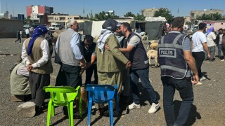 Viranşehir’de hayvan pazarında 337 kişi sorgulandı