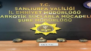 Şanlıurfa’da 4 kilo 350 gram skunk maddesi ele geçirildi