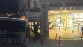 Şanlıurfa’da Gıda Denetimi Sırasında Memura Saldırı