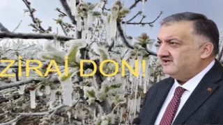 Hasan Karal: Don Felaketi Tarımda İhmalin Sonucu