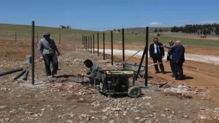 Karaköprü Belediyesi Sokak Hayvanları İçin Barınak İnşa Ediyor