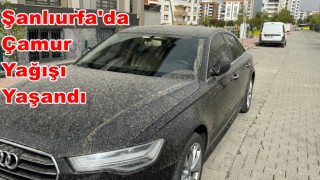 Şanlıurfa'da Toz Bulutu Etkili Oldu: Çamur Yağışı Yaşandı