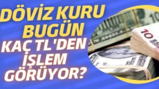 Dolar ve Euro Kuru 6 Mayıs 2025: Güncel Piyasa Verileri