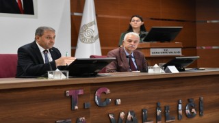 Şanlıurfa’da Sahipsiz Hayvanlar Gündemde
