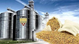 TMO’dan Üreticiye 5,2 Milyar TL’lik Ödeme Desteği