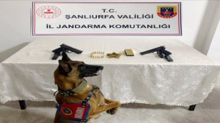 Jandarmadan Suç Unsurlarına Geçit Yok: 8 Şüpheli Gözaltında