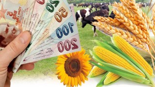 Çiftçilere 1,1 Milyar TL’yi Aşan Destek Ödemesi Yapıldı