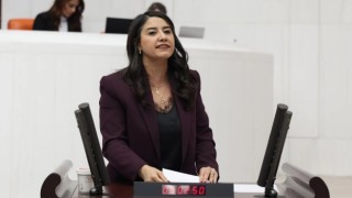 Şanlıurfa’daki Sağlık Sorunları Meclis Gündemine Taşındı