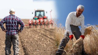 TMO 2024’te Rekor Zarara Ulaştı: Tarımsal Üretimde Düşüş, Çiftçi Borcu Artıyor