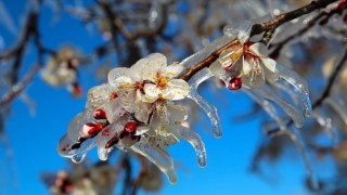 Don Teminatı Genişletildi, Devlet Desteği %70’e Çıkarıldı